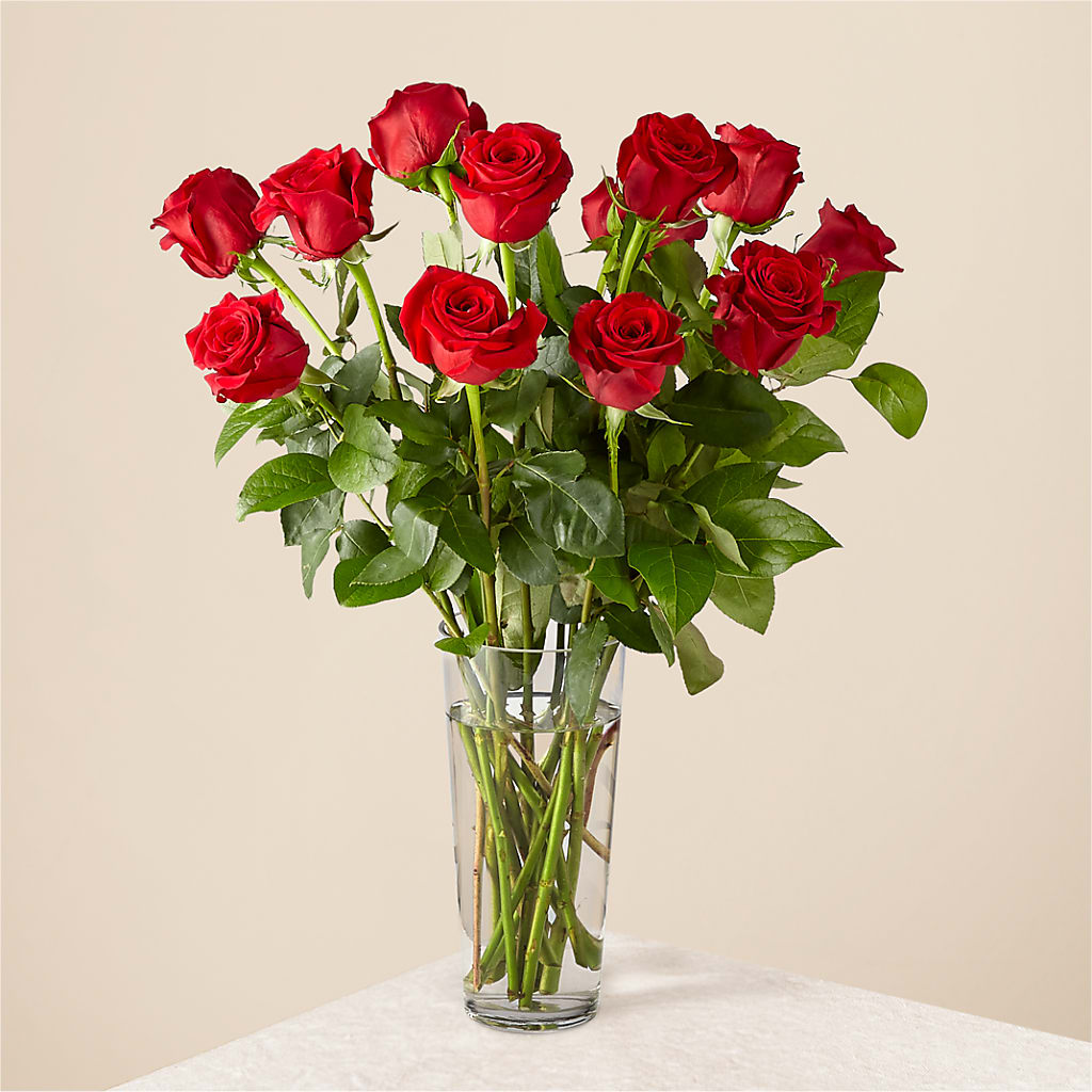 Long Stem Red Rose Bouquet – Aux 1000 Fleurs, Saint-hyacinthe PQ