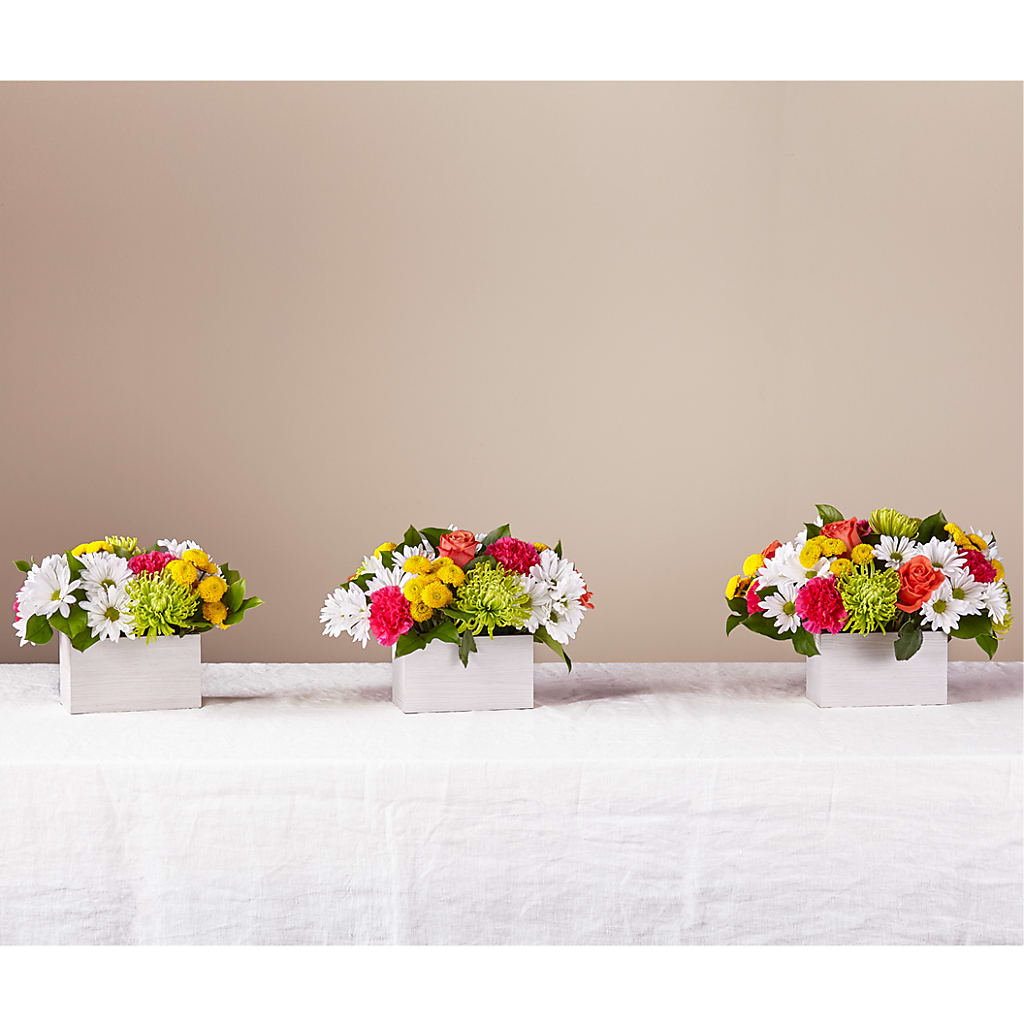 Sorbet Bouquet – Aux 1000 Fleurs, Saint-hyacinthe PQ