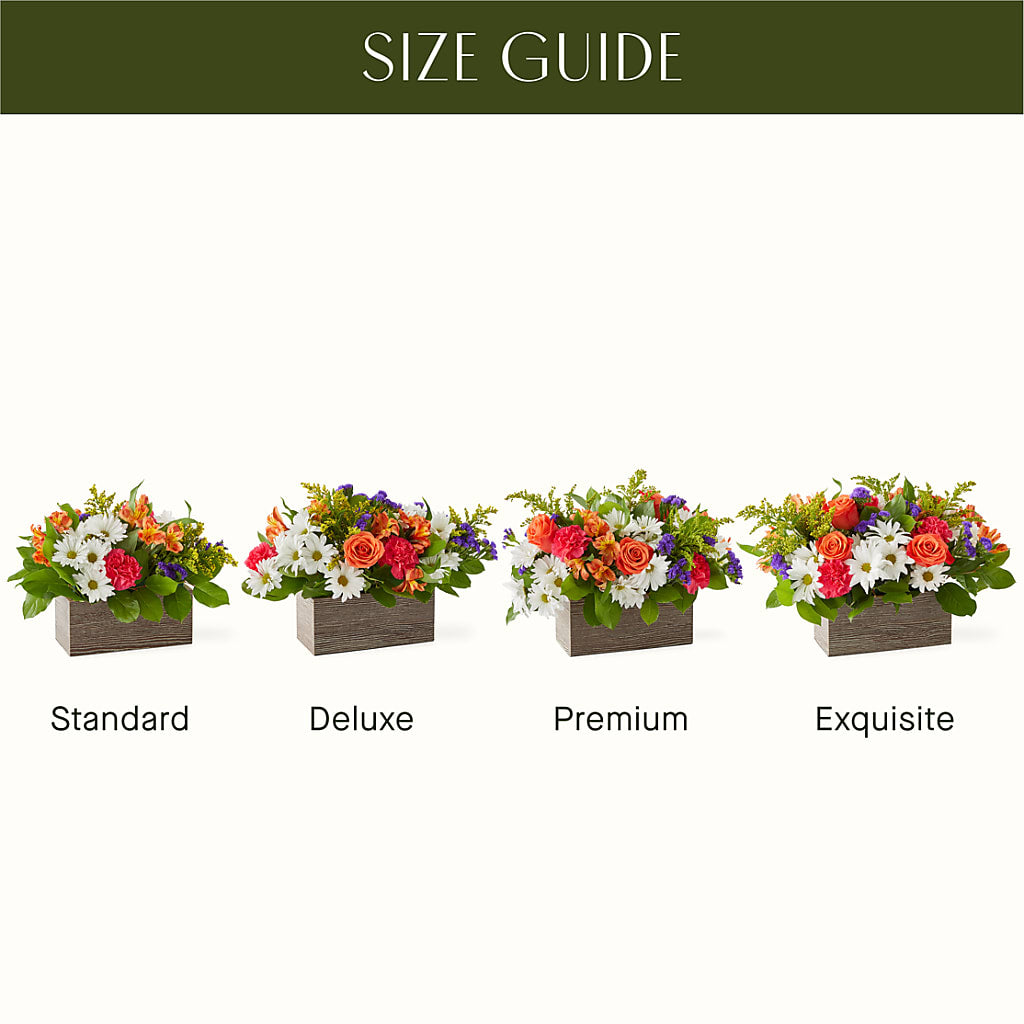 Oopsie Daisy Box Bouquet – Aux 1000 Fleurs, Saint-hyacinthe PQ