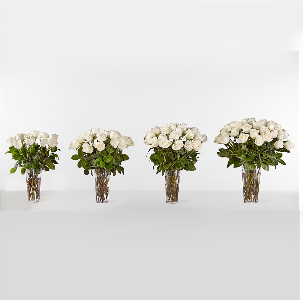 Long Stem White Rose Bouquet – Aux 1000 Fleurs, Saint-hyacinthe PQ