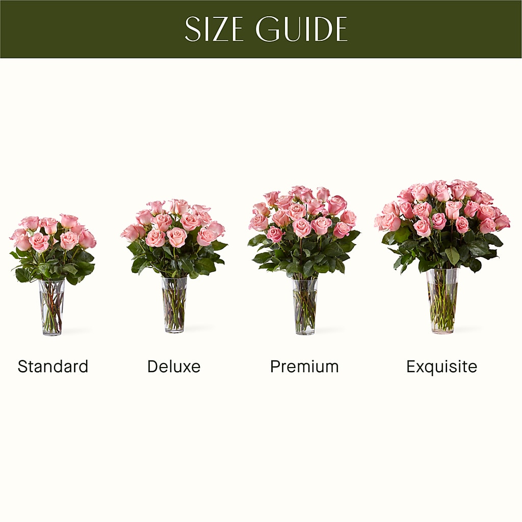 Long Stem Pink Rose Bouquet – Aux 1000 Fleurs, Saint-hyacinthe PQ