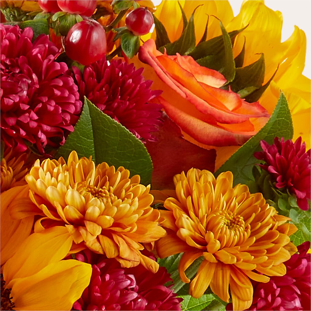 Sweater Season - A Florist Original – Aux 1000 Fleurs, Saint-hyacinthe PQ