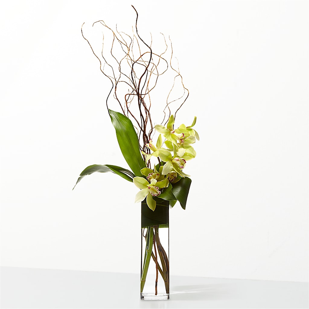 The Statement – Aux 1000 Fleurs, Saint-hyacinthe PQ