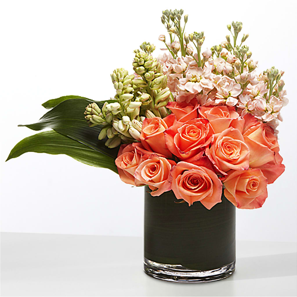 The Moment – Aux 1000 Fleurs, Saint-hyacinthe PQ