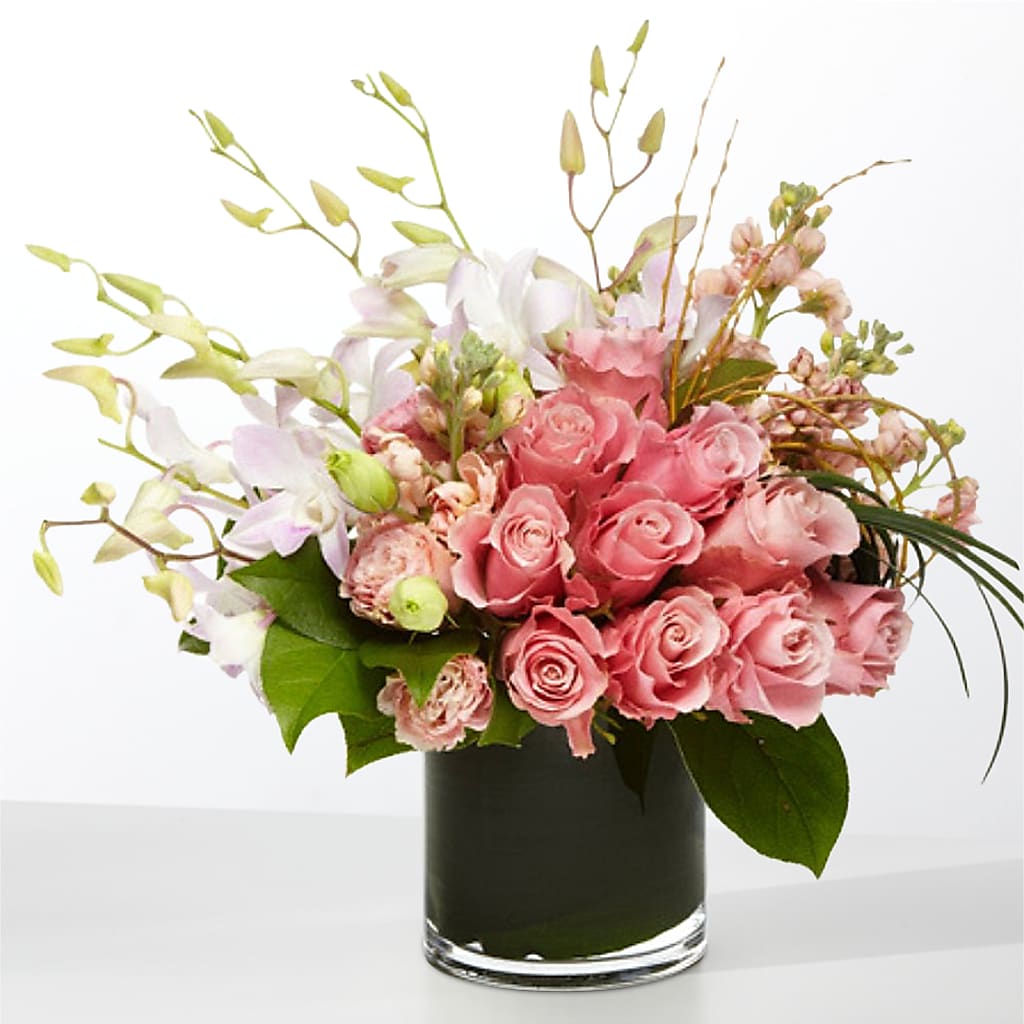 The Muse – Aux 1000 Fleurs, Saint-hyacinthe PQ