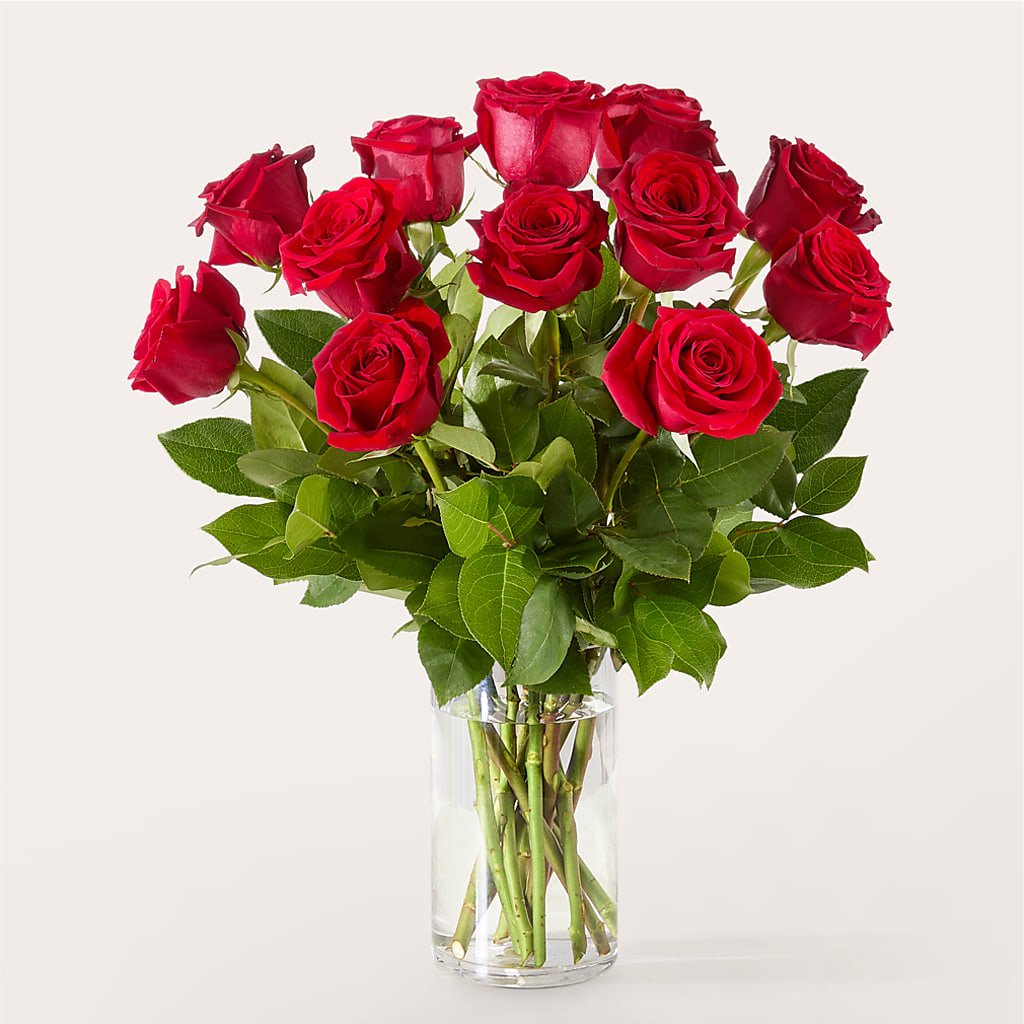 The One Red Rose Bouquet – Aux 1000 Fleurs, Saint-hyacinthe PQ