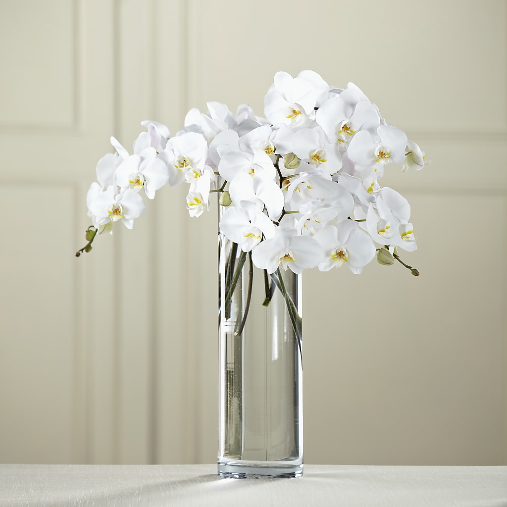 White Phalaenopsis Bouquet – Aux 1000 Fleurs, Saint-hyacinthe PQ
