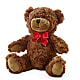 Adorable Plush Bear –  Aux 1000 Fleurs, Saint-hyacinthe PQ