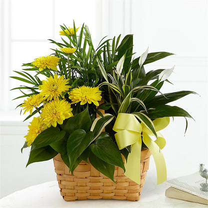 Loving Light Dishgarden –  Aux 1000 Fleurs, Saint-hyacinthe PQ