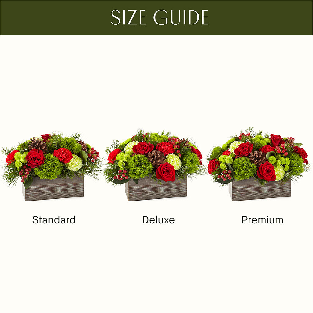 Bundled Up Bouquet –  Aux 1000 Fleurs, Saint-hyacinthe PQ