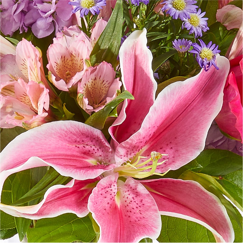 Written in the Stars Bouquet –  Aux 1000 Fleurs, Saint-hyacinthe PQ