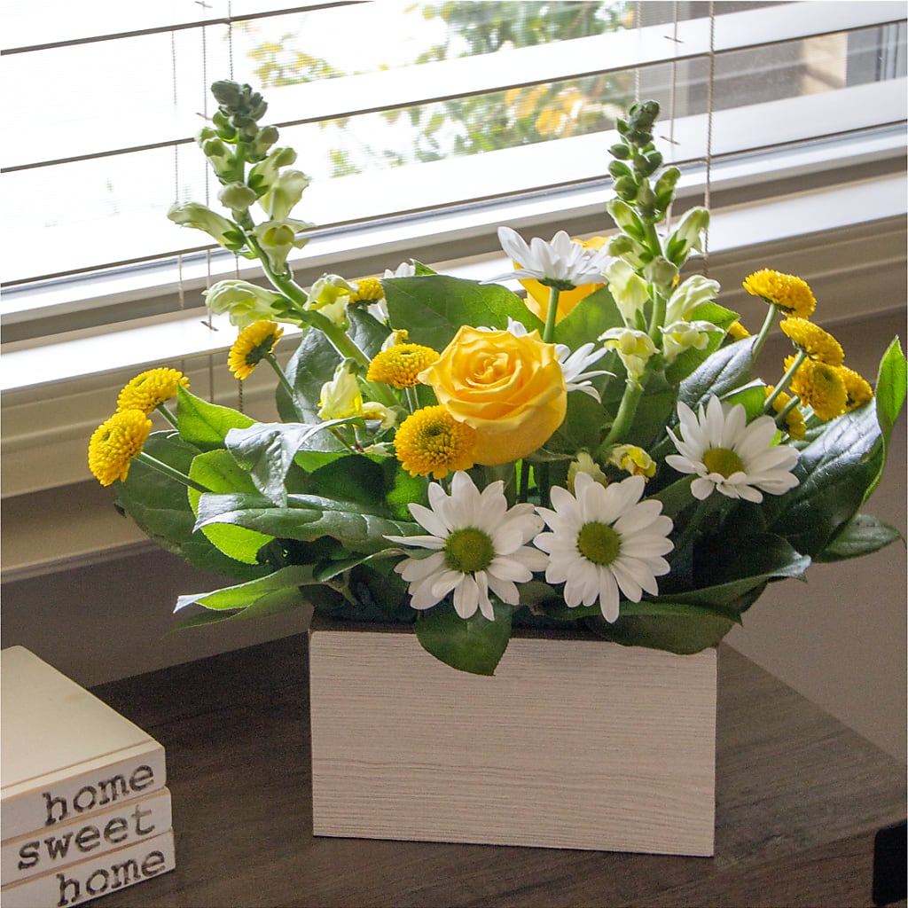 Sun Salutation Box Bouquet –  Aux 1000 Fleurs, Saint-hyacinthe PQ