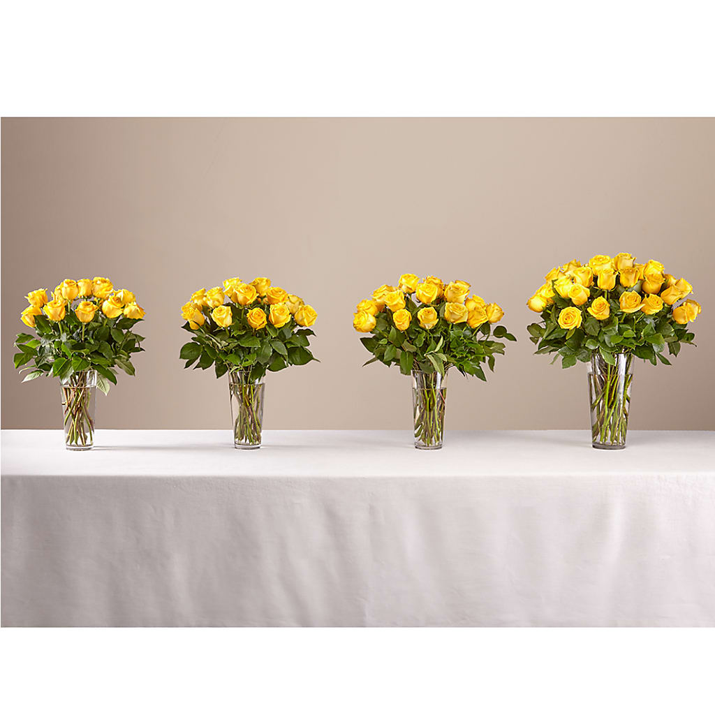 Long Stem Yellow Rose Bouquet –  Aux 1000 Fleurs, Saint-hyacinthe PQ
