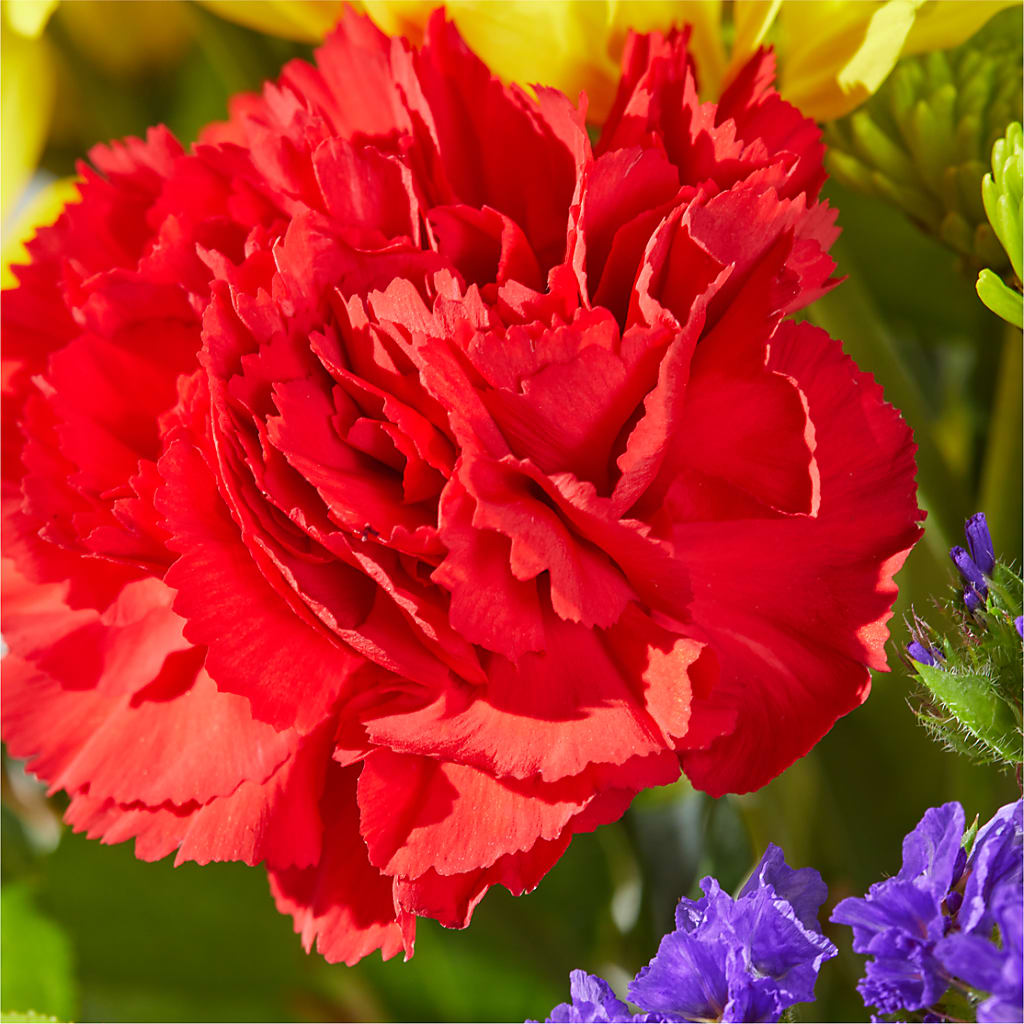 Brighter Days Bouquet –  Aux 1000 Fleurs, Saint-hyacinthe PQ