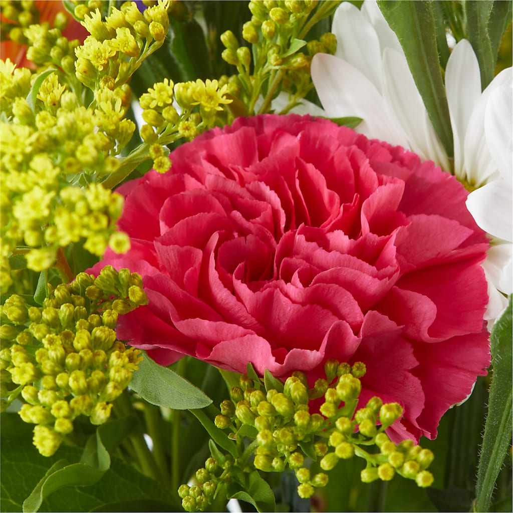 Oopsie Daisy Bouquet –  Aux 1000 Fleurs, Saint-hyacinthe PQ