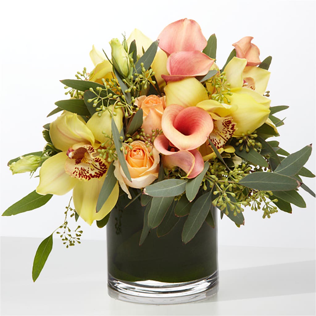The Visionary –  Aux 1000 Fleurs, Saint-hyacinthe PQ
