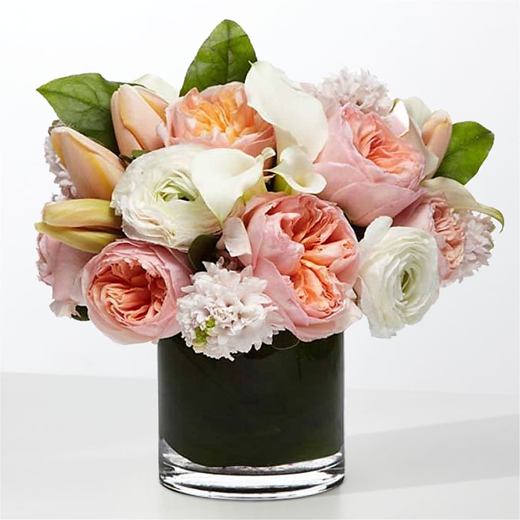 The Destiny –  Aux 1000 Fleurs, Saint-hyacinthe PQ