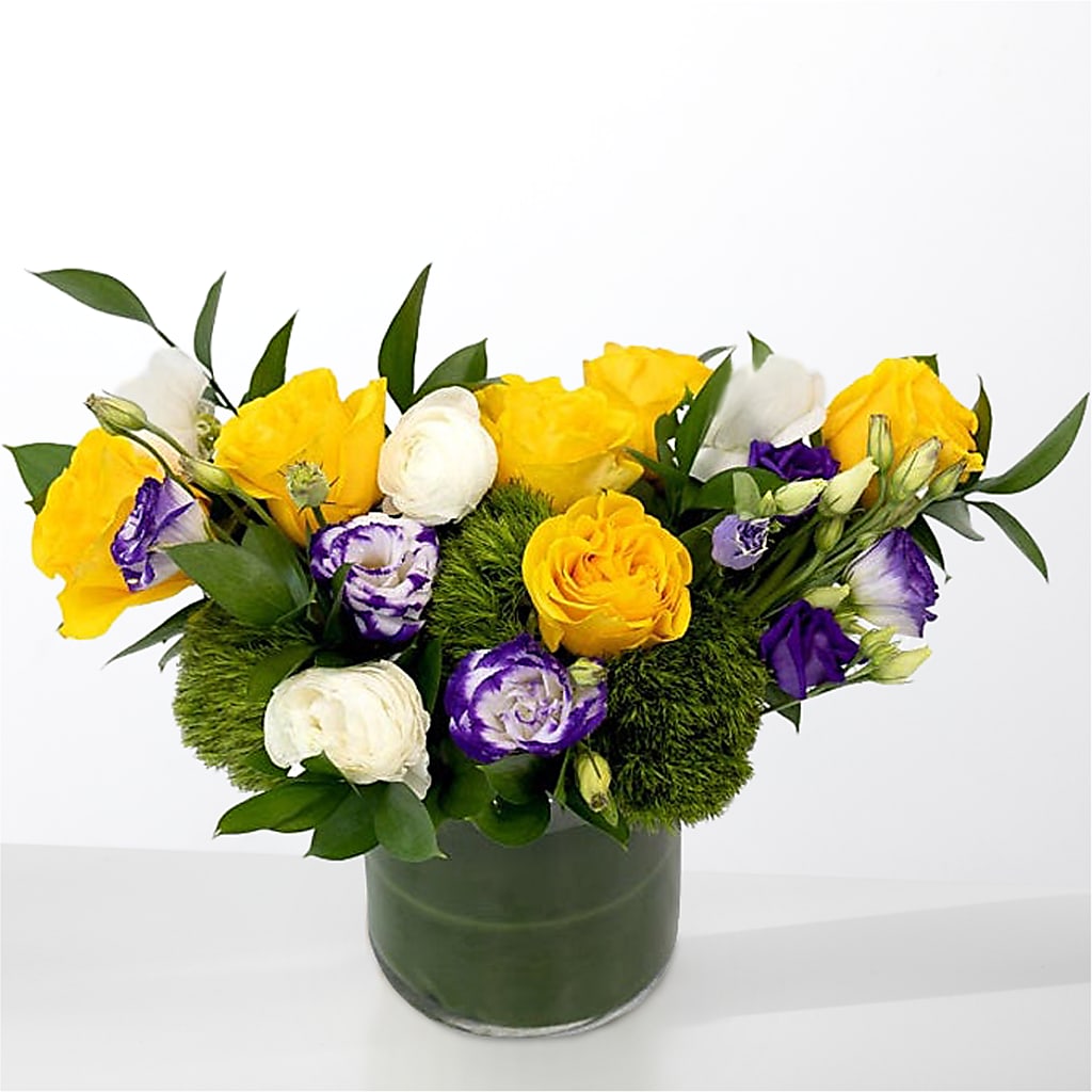 The Spectacle –  Aux 1000 Fleurs, Saint-hyacinthe PQ