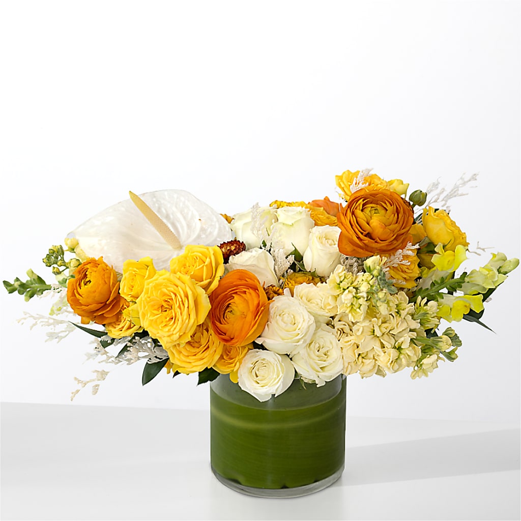 The Optimist –  Aux 1000 Fleurs, Saint-hyacinthe PQ