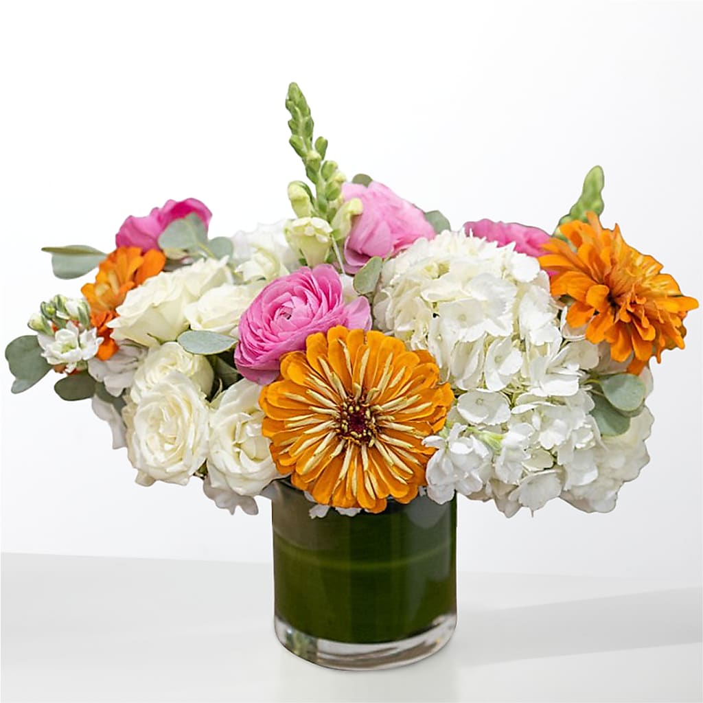 The Meet Cute –  Aux 1000 Fleurs, Saint-hyacinthe PQ