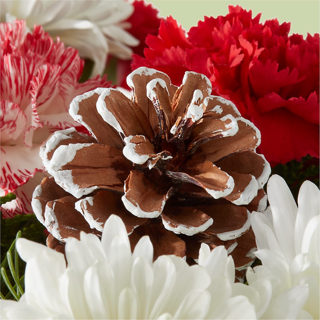 Candy Cane Lane Bouquet –  Aux 1000 Fleurs, Saint-hyacinthe PQ
