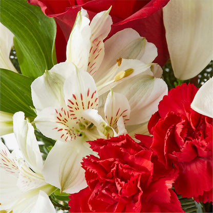 Holiday Season Bouquet –  Aux 1000 Fleurs, Saint-hyacinthe PQ