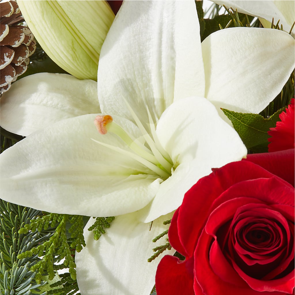 Oh So Jolly Bouquet –  Aux 1000 Fleurs, Saint-hyacinthe PQ