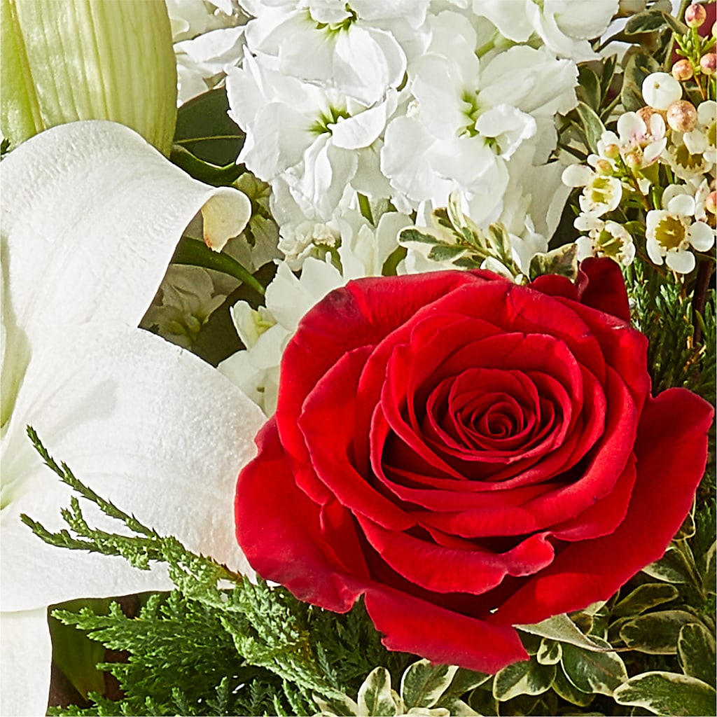 Twinkle Lights Bouquet –  Aux 1000 Fleurs, Saint-hyacinthe PQ