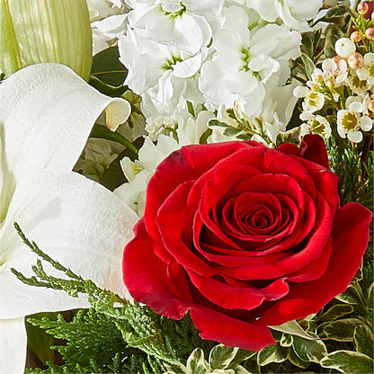Twinkle Lights Bouquet –  Aux 1000 Fleurs, Saint-hyacinthe PQ