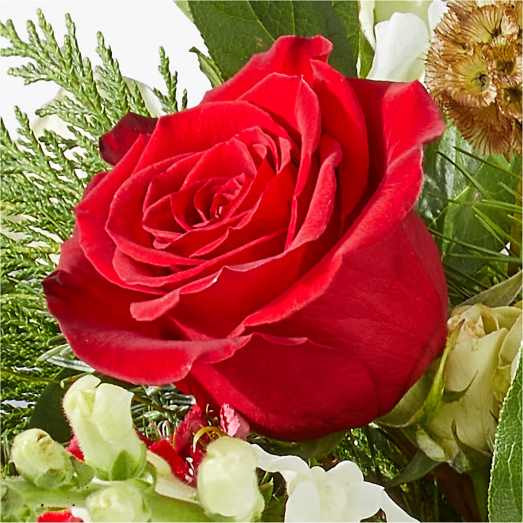 Deck the Halls Bouquet –  Aux 1000 Fleurs, Saint-hyacinthe PQ