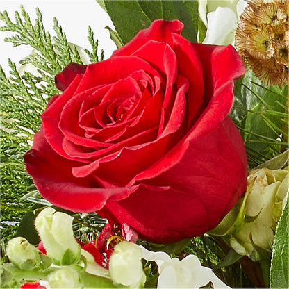 Deck the Halls Bouquet –  Aux 1000 Fleurs, Saint-hyacinthe PQ
