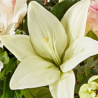 Ballet Slippers Bouquet –  Aux 1000 Fleurs, Saint-hyacinthe PQ