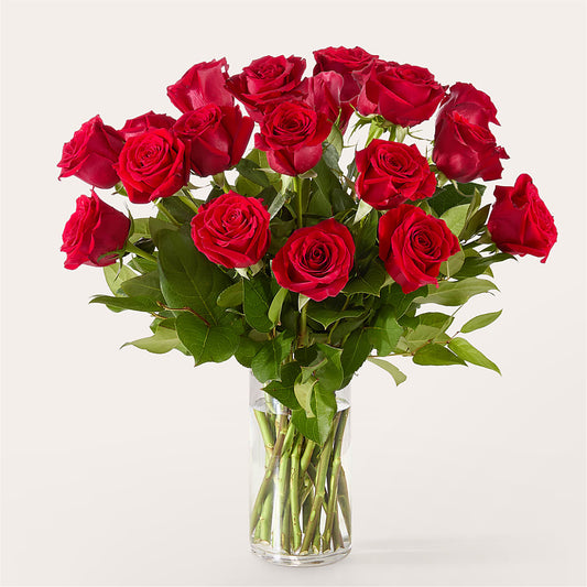 The One Red Rose Bouquet –  Aux 1000 Fleurs, Saint-hyacinthe PQ