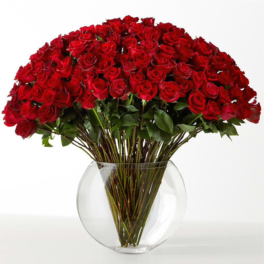 The Idealist –  Aux 1000 Fleurs, Saint-hyacinthe PQ