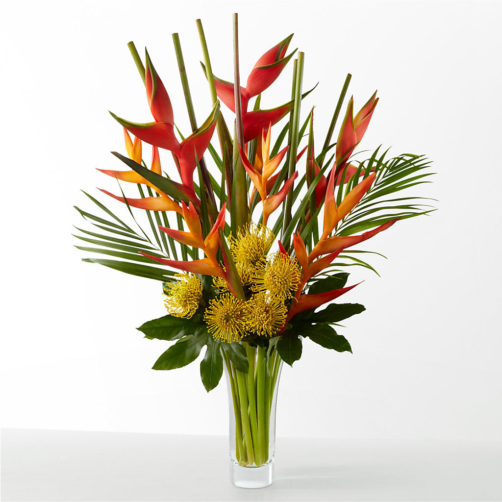 The Drama –  Aux 1000 Fleurs, Saint-hyacinthe PQ
